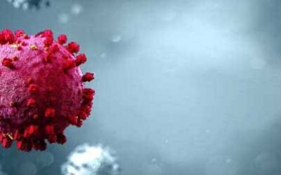 3G-Regel Corona ab 19.Mai für alle Tennis-Spiele